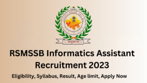 RSMSSB Informatics Assistant Recruitment 2023, resilt, Agel limit